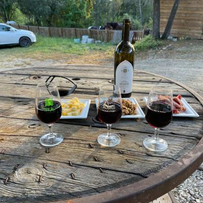 1000000379 0900aa5552359c34c13b46179e13ef6e 13 03 2025 19 00 33