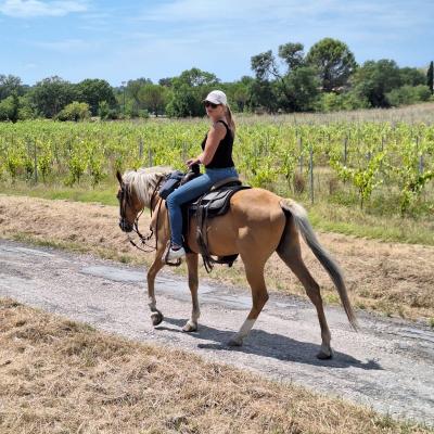 1000000393 c3c0b6dbd08fdbc6f956168aa648f17b 08 02 2025 15 55 33