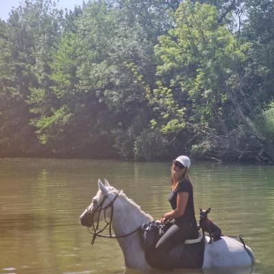 1000002530 4034813301b8717aa3dbb4f1f1c0382f 13 03 2025 18 42 54