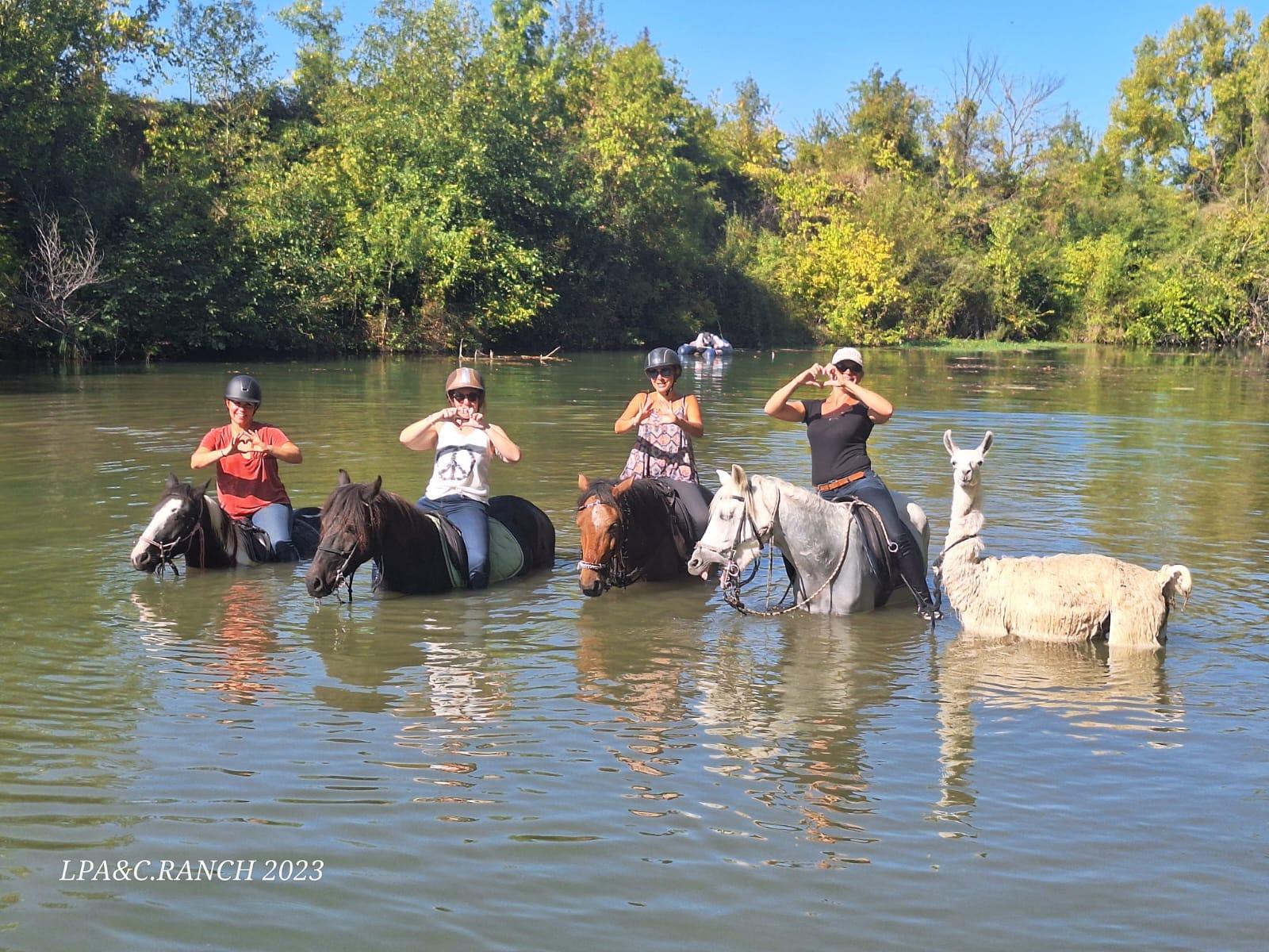 1000084374 21f41a4ea4ae71fa0cf12b2e39fa9a05 03 02 2024 13 10 17